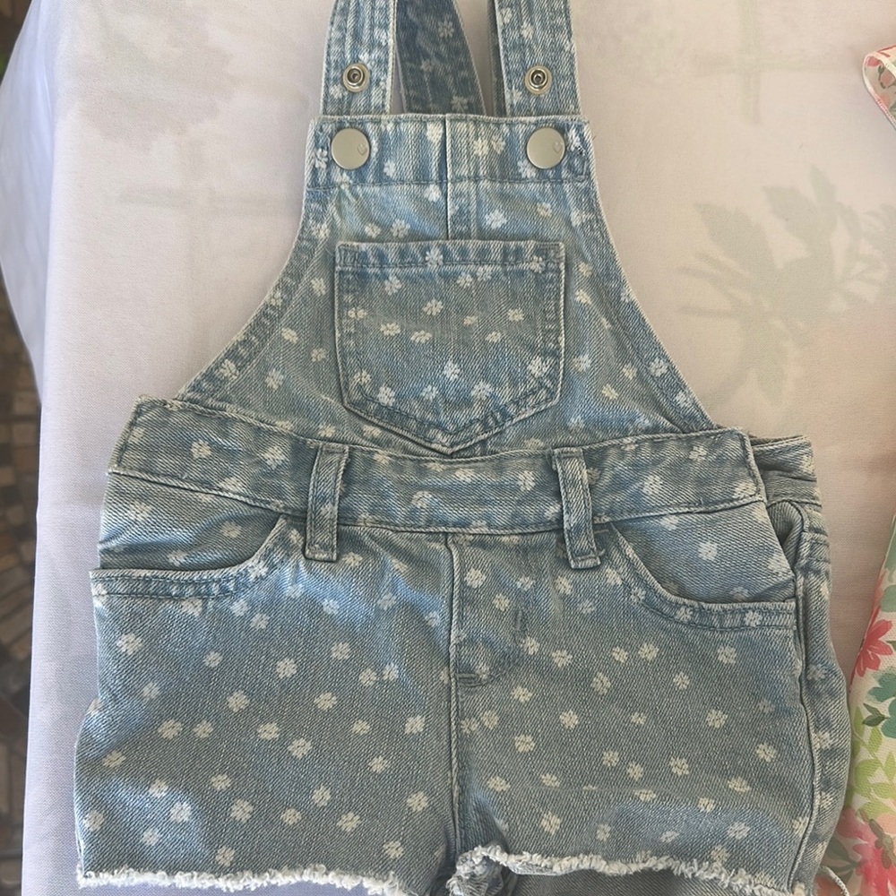 The Children's Place Light Blue Denim Overalls